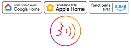 logo de commande vocal